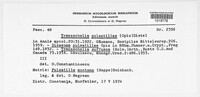 Tranzschelia pulsatillae image